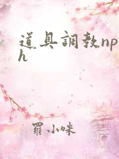 道具调教np高h