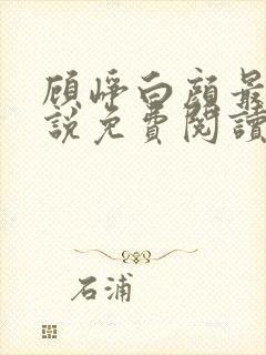 顾峥白颜最新小说免费阅读