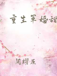 重生军婚甜宠文