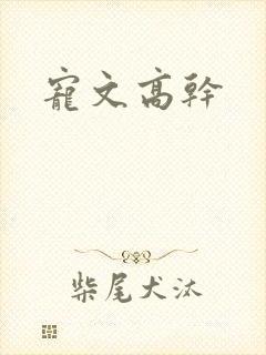 宠文高干