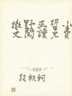 撒野巫哲小说全文阅读免费