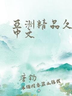 亚洲精品久久久中文