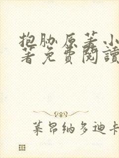 抱胁原著小说原著免费阅读
