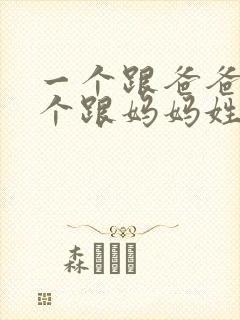 一个跟爸爸姓一个跟妈妈姓,对孩子有影响吗?