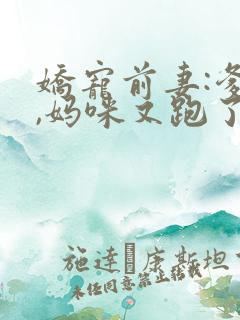 娇宠前妻:爹地,妈咪又跑了