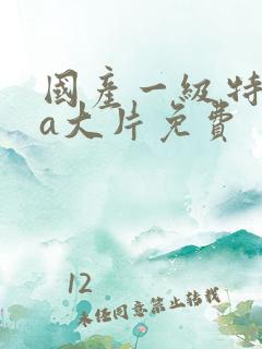 国产一级特黄aa大片免费