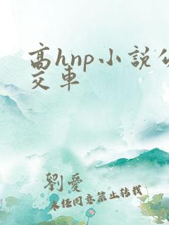高hnp小说公交车