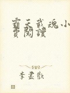 霸天武魂小说免费阅读