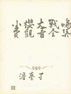 小樱大战鸣人免费观看全集动漫在线