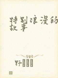 特别浪漫的爱情故事
