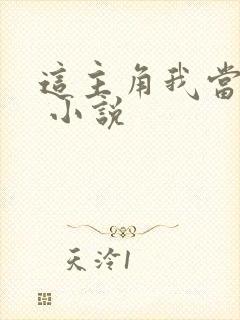这主角我当不了 小说