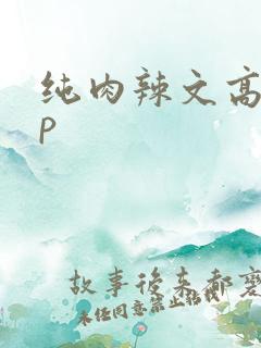 纯肉辣文高hnp