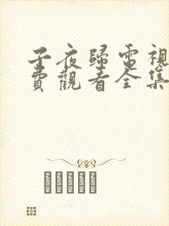 子夜归电视剧免费观看全集高清第29
