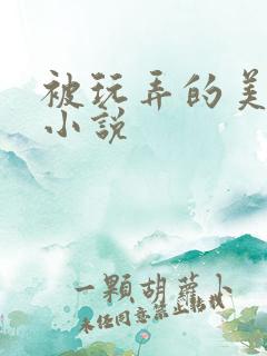 被玩弄的美人儿小说