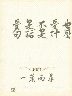 爱是不爱也是那句话是什么