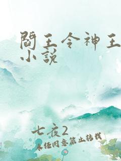 阎王令神王令的小说