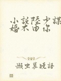 小说陆少谋妻之婚不由你