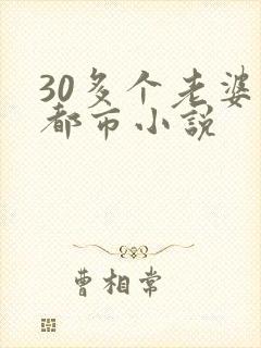 30多个老婆的都市小说