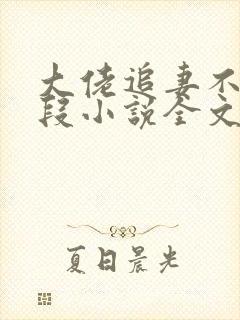 大佬追妻不择手段小说全文阅读