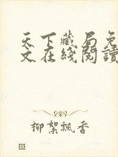 天下藏局免费全文在线阅读