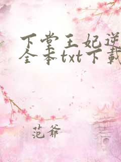 下堂王妃逆袭记全本txt下载
