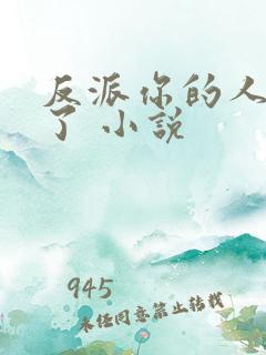 反派你的人设歪了 小说