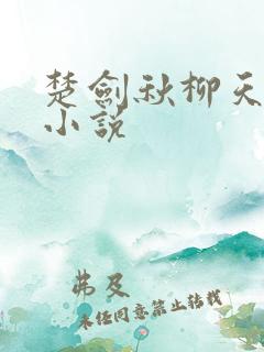 楚剑秋柳天瑶 小说