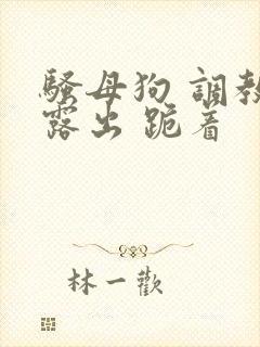 骚母狗 调教 露出 跪着