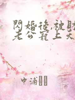 闪婚后,被财阀老公宠上天