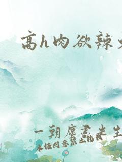 高h肉欲辣文