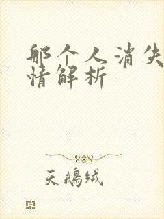 那个人消失了剧情解析