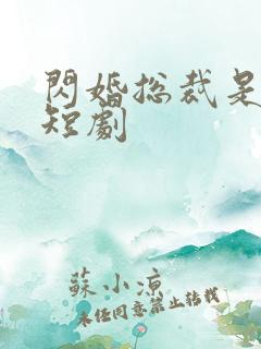 闪婚总裁是前夫短剧