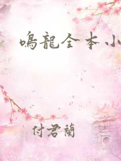 鸣龙全本小说