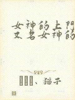 女神的上门豪婿又名女神的超级赘婿主角赵旭