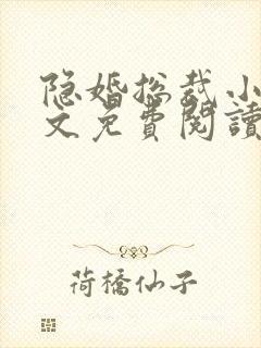 隐婚总裁小说全文免费阅读