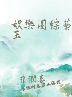 娱乐圈综艺双男主