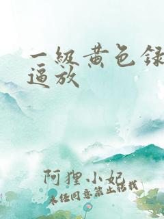 一级黄色录像片逼放
