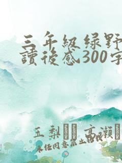 三年级绿野仙踪读后感300字