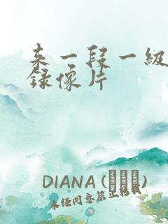 来一段一级黄色录像片
