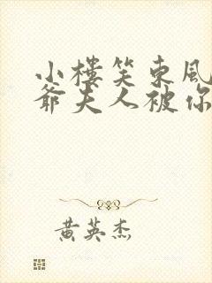 小楼笑东风 峤爷夫人被你惯坏了