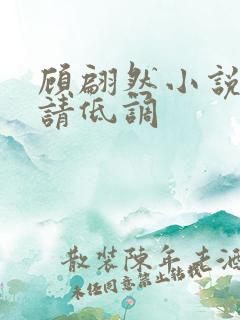 顾翩然小说隐婚请低调