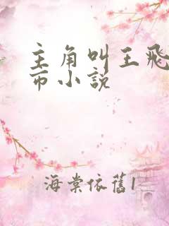 主角叫王飞的都市小说