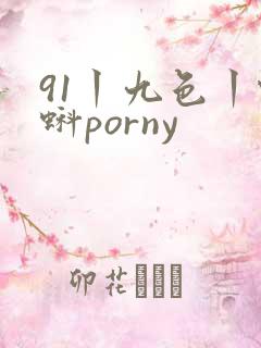 91丨九色丨蝌蚪porny