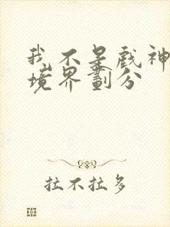 我不是戏神小说境界划分