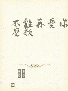 不能再爱你是什么歌