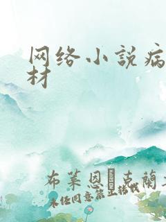 网络小说病娇题材