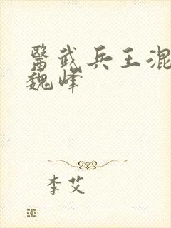 医武兵王混乡村魏峰