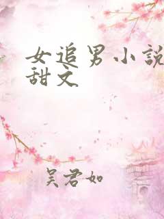 女追男小说校园甜文