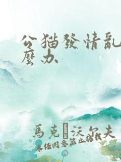 公猫发情乱尿怎么办