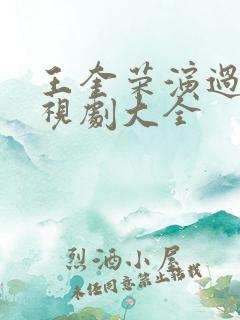 王奎荣演过的电视剧大全